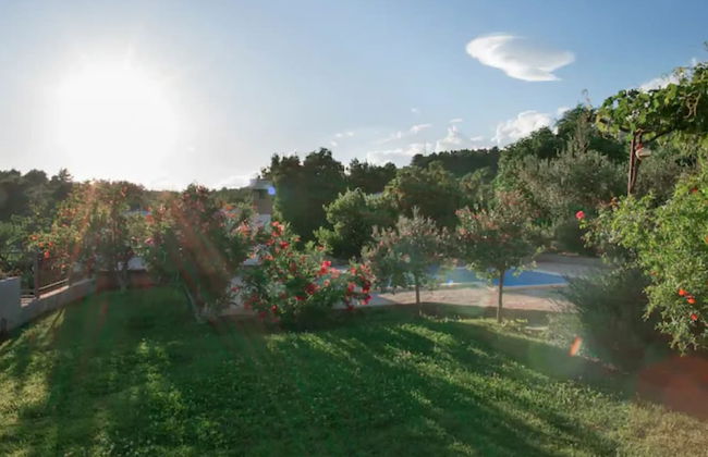 House of Green Experience - Foto 52