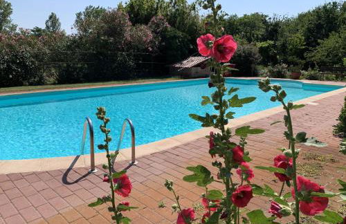 Pet-Friendly Nature Escape - Foto 42