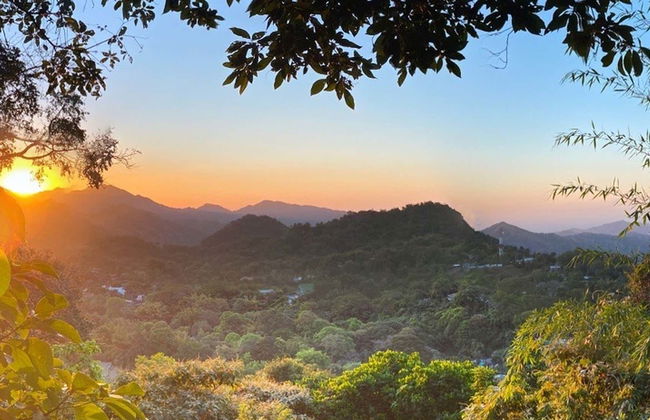 Hiking in the Minca Jungle - Photo 1