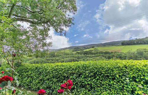 Pine Tree Lodge - Foto 16