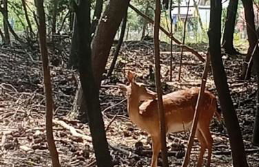 Iris Apartment-trilocale vistamare, 50 m dalla spiaggia - Foto 61