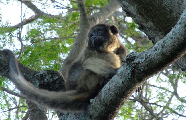 Tour in Avellaneda - Foto 6
