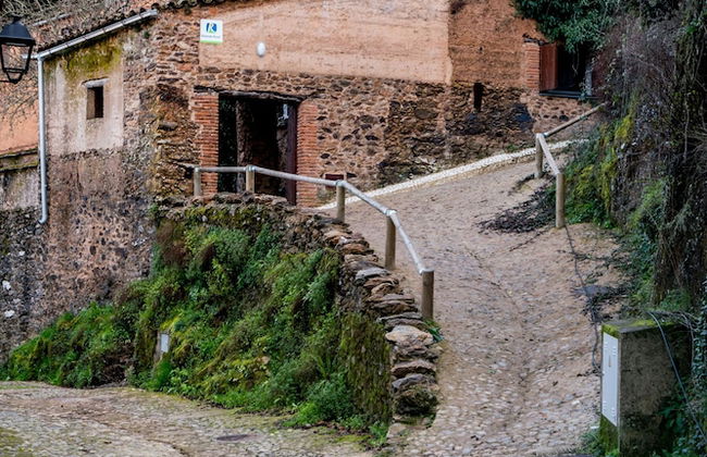 El Zarzo de Nemesio - Foto 24