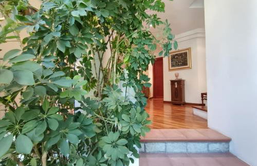 Villa Pantano - Foto 8