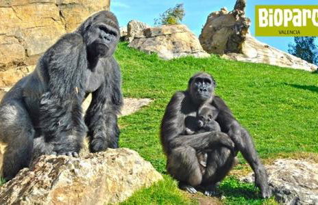 Bioparc Metro Valencia - Foto 22