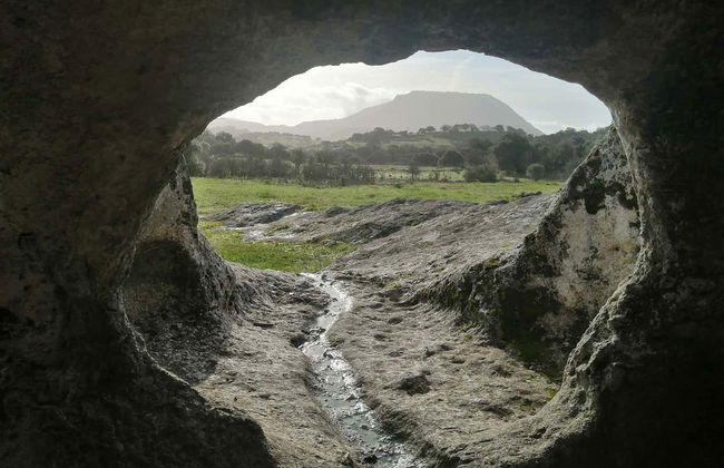 Excursion à la nécropole de Puttu Codinu et Nuraghe Appiu - Photo 4