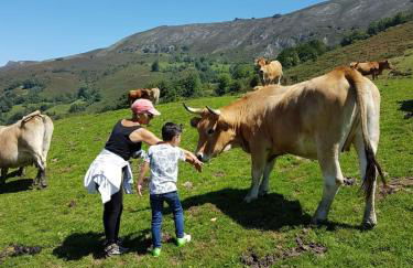 Jona Candás Asturias - Foto 37