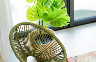 Maison Nomade piscine privée, parking et clim - Foto 3