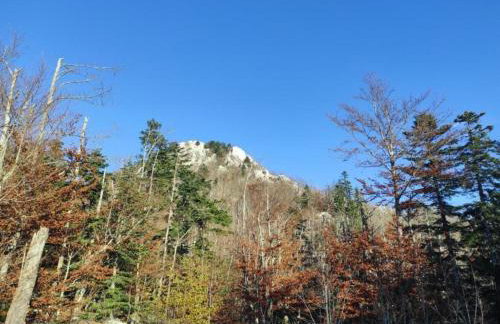 Cottage in Lovinac Near Paklenica Park - Foto 56