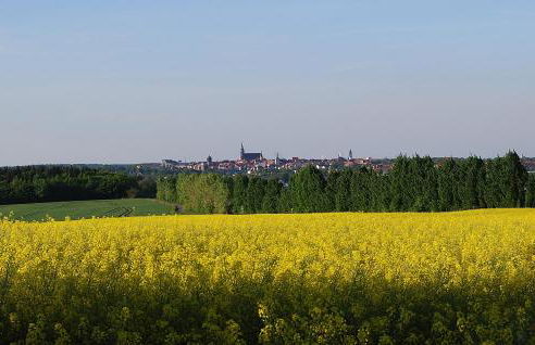 FEWO Geborgenheit ASZA mit strahlungsfreien Zonen - Foto 54