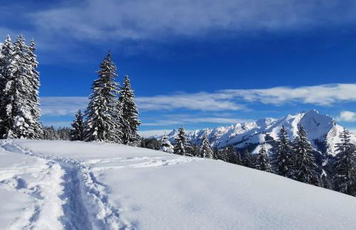 Maison au calme entre lac et montagnes - Foto 8