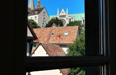Best of Chartres one bedroom city center and view on the Cathedral - Foto 1