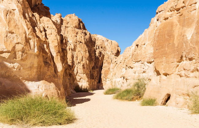 Tour de 4x4 pelo White Canyon e Ain Khunra - Foto 1