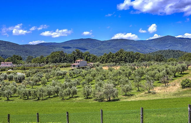 Tr-f457-mcas0as - Colle del Sole 7 1 - Foto 11