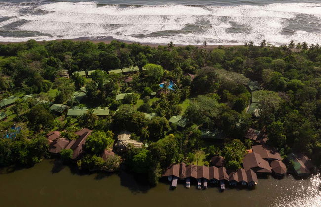 Tour de 2 ou 3 dias pelo Parque Nacional Tortuguero - Foto 3