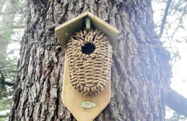 Casa delle foglie sussurranti - Foto 74