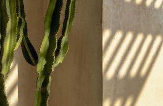 Apolis Villas & Suites Resort - Photo 42