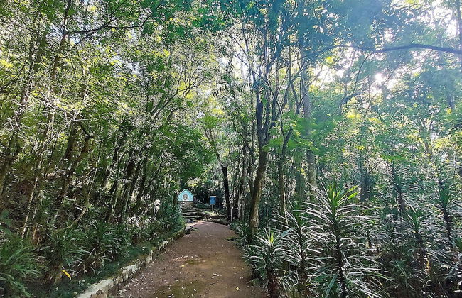 Cabana Casa Enxaimel - Foto 23