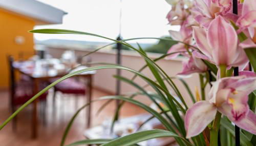 Casa Clara in Uri in the Nuraghe of Santa Cadrina a short distance from the beaches - Foto 2