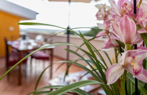 Casa Clara in Uri in the Nuraghe of Santa Cadrina a short distance from the beaches - Foto 2