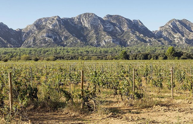 Arles - St Remy - Les Baux de Provence - 7 hours - Photo 10