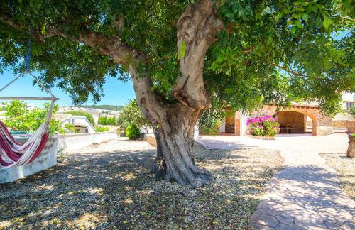 Villa Melchora by Interhome - Foto 31