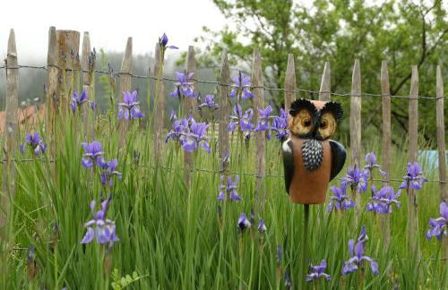 SchwarzWild - Ferienwohnung und Ferienzimmer - Foto 65