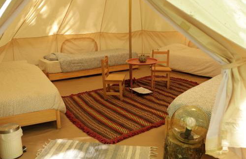 Associação Quinta das Relvas - Foto 63