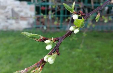 Familienfreundlich Wohnen im Miriquitdi Erzgebirge - Foto 14