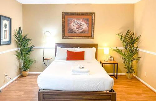 Near Space Center- Mahan Splashdown - Foto 2