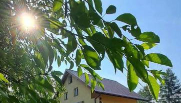 Pokoje gościnne u Ewy Cisna - Foto 4, Garden