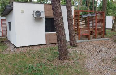 W sosnowym lesie - Foto 4