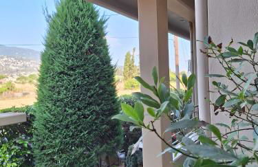 Volos Pelion View - Foto 22