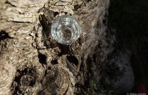 Aegean Panorama Apartments - Foto 45