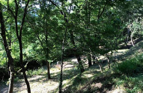 Villa Gioia relax immersi nel verde - Foto 21