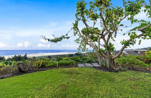 Aloha Vista - Foto 14