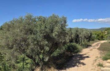 Studio 1 terrasse aperçu mer vignes - Foto 17