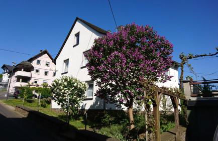 Ferienwohnung Ewa - Foto 1