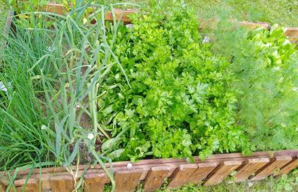 Mogielicki Zakątek - Photo 16