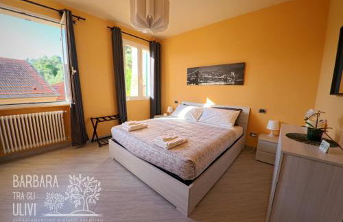 Barbara tra gli Ulivi - Foto 14