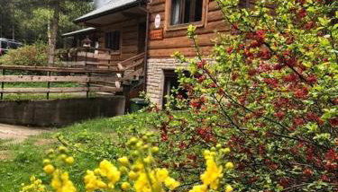 Leśniczówka Przysietnica - Foto 2