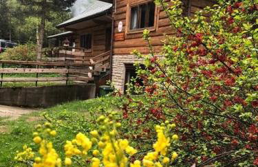 Leśniczówka Przysietnica - Foto 2