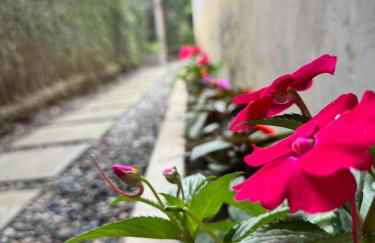 Flat Garoa Recanto Florah - Foto 13