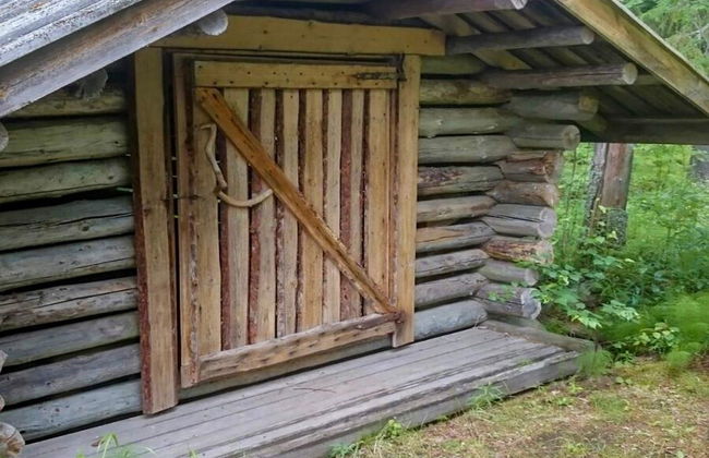 Ranta-koivu - Foto 12