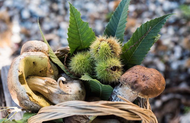 Podere Il Sorriso Degli Angeli - Photo 19