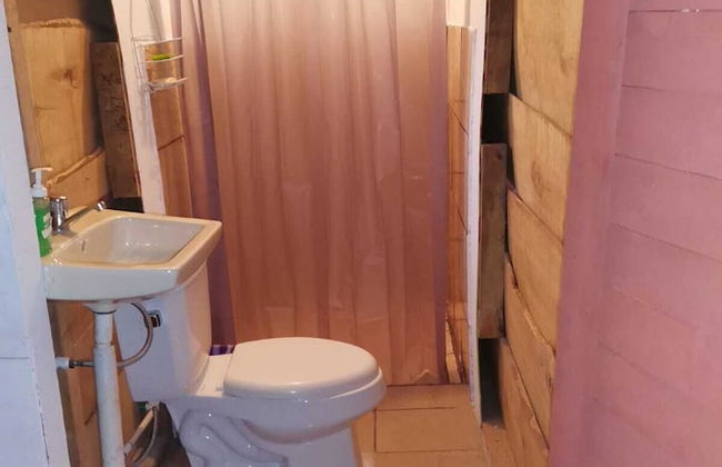 Millar de Aves - Foto 9