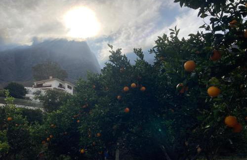 Casa Camino Tamadaba II (bottom home) - Foto 31