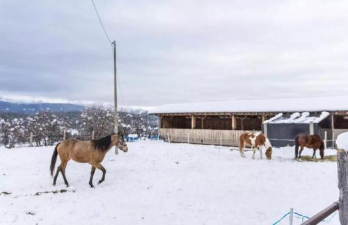 Ladinser Hof Sternenhimmel - Foto 13