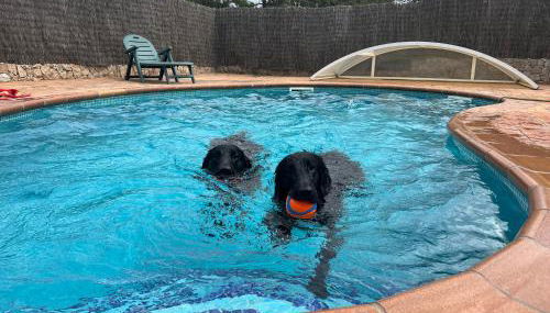 Casa Feliz Con Perros - Foto 4