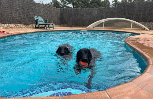 Casa Feliz Con Perros - Foto 4